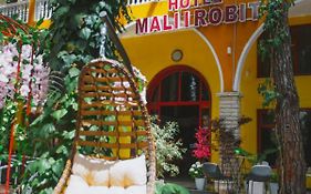 Hotel Mali i Robit